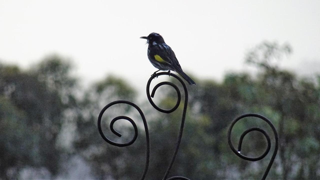 Austiny Bed & Breakfast Victor Harbor